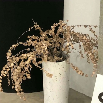 弥渡福瑞交流群